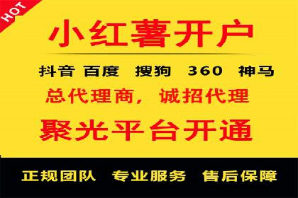 专业SEM托管，案例见证企业广告投放效果